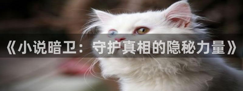 笔趣书阁蓝色旧版