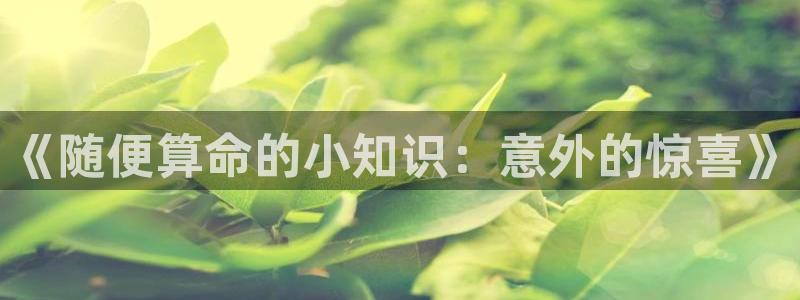 txt下载趣书网：《随便算命的小知识：意外的惊喜》