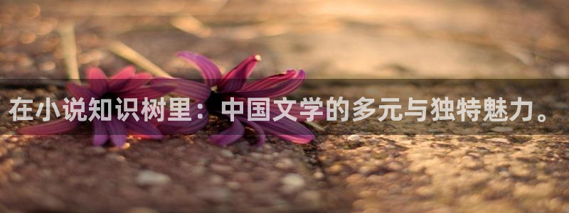笔趣书下载：在小说知识树里：中国文学的多元与独特魅力。