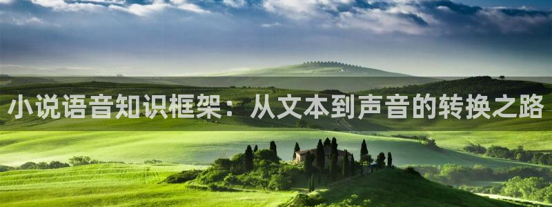 笔趣书阁小说大全：小说语音知识框架：从文本到声音的转换之路