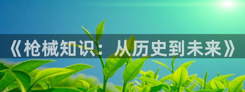 类似趣书网的网站有哪些：《枪械知识：从历史到未来》